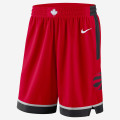 Toronto Raptors Icon Edition Swingman