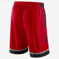 Toronto Raptors Icon Edition Swingman