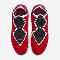 Nike LeBron 17 "Uptempo"