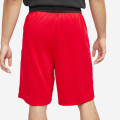 Nike Dri-FIT HBR Basketball Shorts
