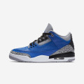 Air Jordan 3 Retro 'Varsity Royal'