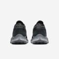 Nike Pegasus Trail 2