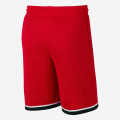Nike Dri-FIT Classic Shorts