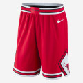 Chicago Bulls Nike Icon Edition Authentic