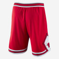 Chicago Bulls Nike Icon Edition Authentic