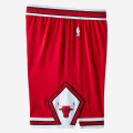 Chicago Bulls Nike Icon Edition Authentic