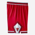 Chicago Bulls Nike Icon Edition Authentic