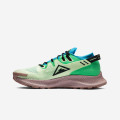 Nike Pegasus Trail 2