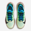Nike Pegasus Trail 2