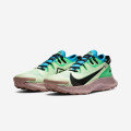 Nike Pegasus Trail 2