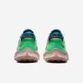 Nike Pegasus Trail 2