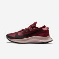 Nike Pegasus Trail 2 W