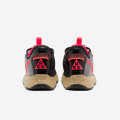 Nike PG 4 'PCG'