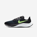 Nike Air Zoom Pegasus 37