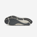 Nike Air Zoom Pegasus 37