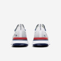 Nike React Infinity Run Flyknit "BRS"