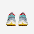 Nike Pegasus Trail 2 W