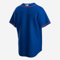 Nike MLB Official Replica Alternate Jersey - New York Mets