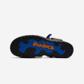 Nike ACG Air Deschutz