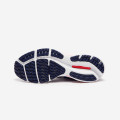 Mizuno Wave Rider 24