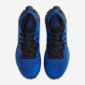 Nike Wildhorse 6