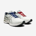 Asics Gel-Nimbus 22