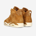 Air Jordan 6 Retro