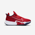 Nike Air Zoom BB NXT - CK5707-600