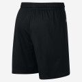 Giannis Nike Shorts
