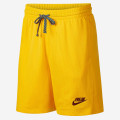 Nike Giannis Antetokounmpo Shorts - CK6212-739