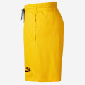 Giannis Nike Shorts