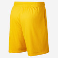 Giannis Nike Shorts
