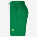 Giannis Naija Nike Shorts