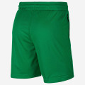 Giannis Naija Nike Shorts