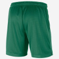 Nike NBA Standard Issue Shorts - Boston Celtics