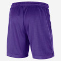 Nike NBA Standard Issue Shorts - Los Angeles Lakers