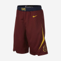 Kids - Cleveland Icon Edition Swingman