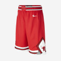 Kids - Chicago Bulls Icon Edition Swingman