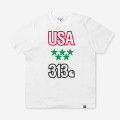 Carhartt S/S USA postal T-Shirt - IO22876 02 00