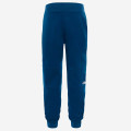 The North Face Fine Pant