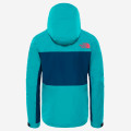 The North Face Fantasy Ridge Gore-Tex Jacket