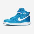 Nike Vandal High Supreme